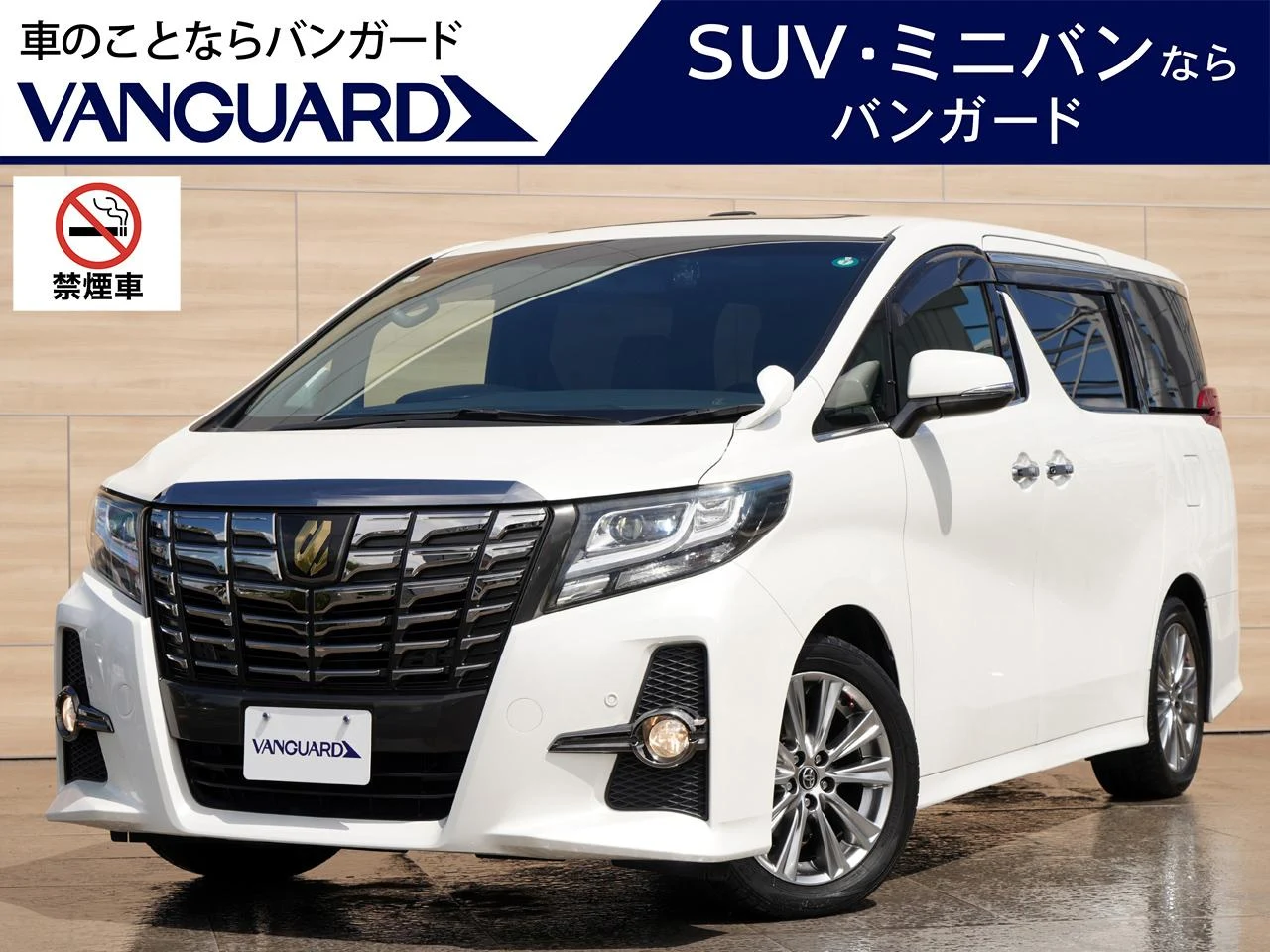 トヨタ アルファード ２．５Ｓ Ａパッケージ タイプブラック：アルファード ２．５Ｓ Ａパッケージ タイプブラック 特別仕様車